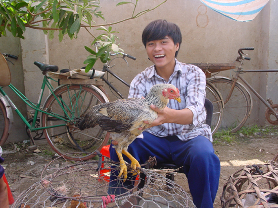 Chicken in Vietnam © GREASE